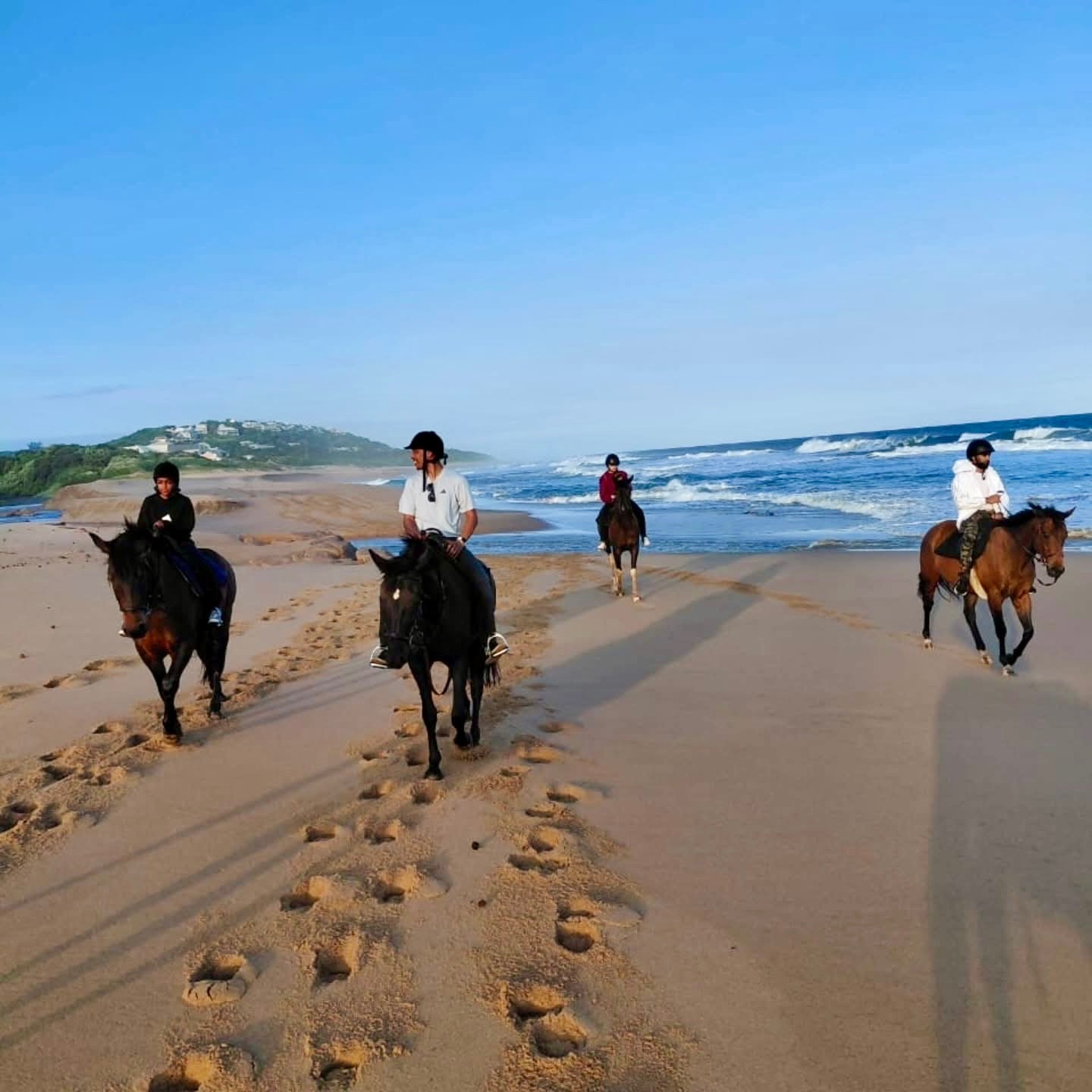 Horse Riding