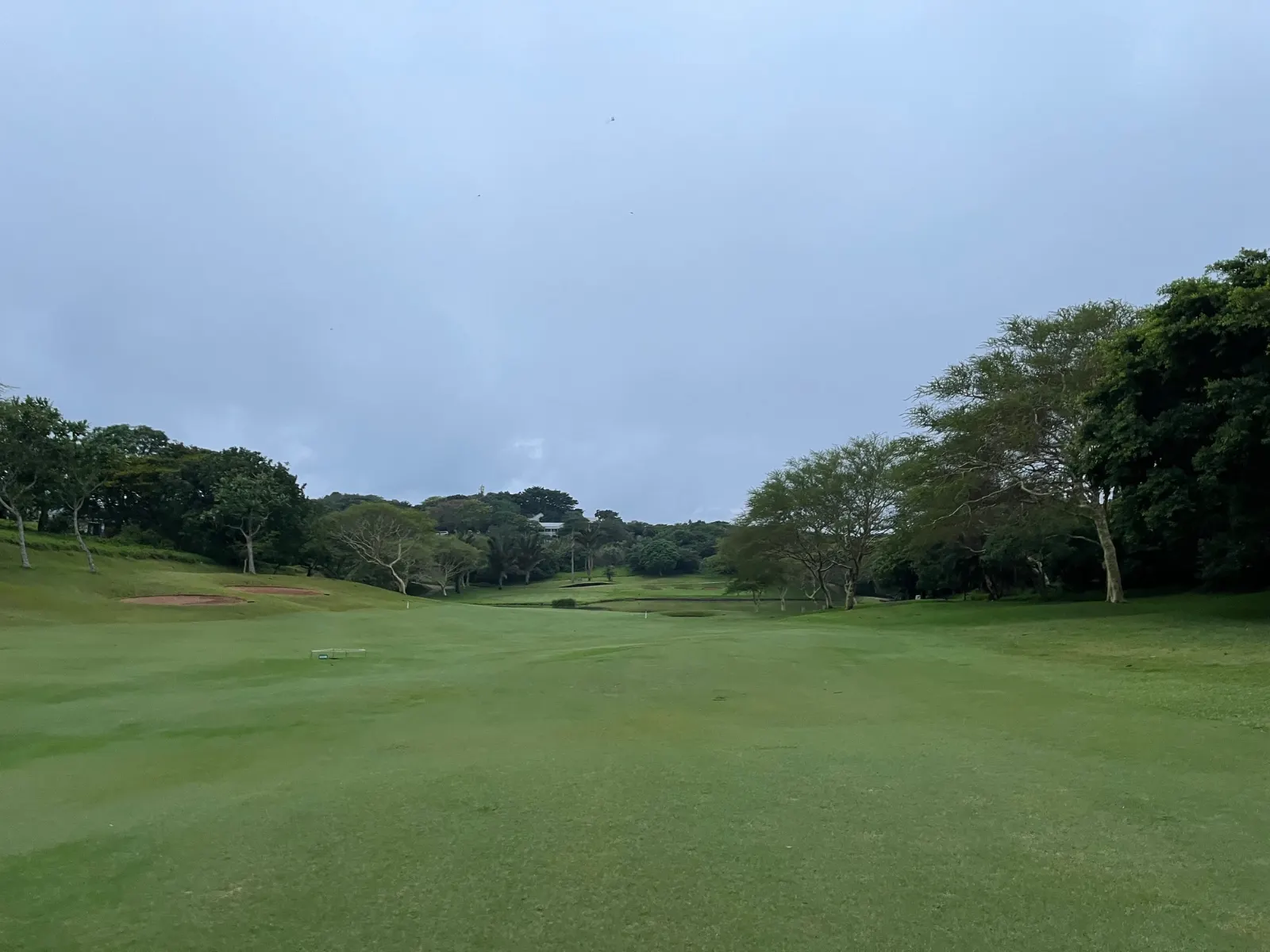 Prince's Grant championship golf