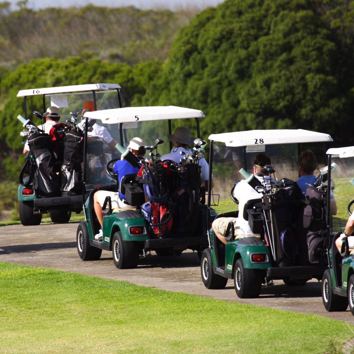 Golf Cart Hire